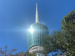 -梧桐山风景名胜区