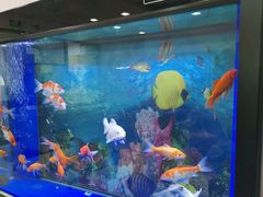 -北京市中关村医院