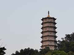 -深圳国际园林花卉博览园