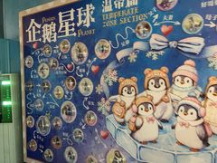 -海合安武汉极地海洋公园
