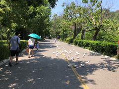 -燕塞湖鸟语林景区