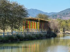 -天适樱花悠乐园