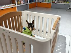 -1013 PET SHOP 宠物商店(近铁城市广场店)