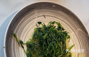 Pea Shoots