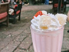 -Fern Forest Cafe
