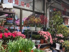 -苏州市皮市街花鸟工艺品市场