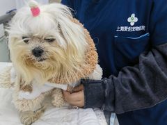 -爱侣宠医·鹦鹉专科·小型哺乳类·异宠专科(灵石路店)