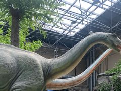 -国家自然博物馆