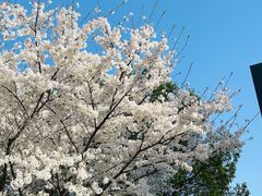 -石湖景区