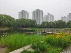 -望湖公园