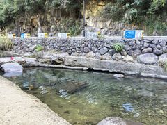 -芦茨金富饭庄·25年老字号·专做稻草鸡