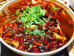 重庆毛血旺-三猫黑鱼花(南大店)
