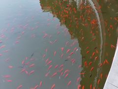 景点-西海子公园