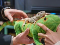 -FAIRYLAND龙族星球主题餐厅(凯丹广场店)