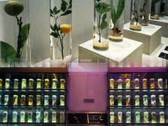-广东中医药博物馆