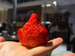 -炽城·烤肉名家(鸿达中央广场店)