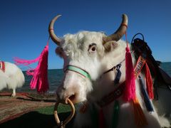 -青海湖国家重点风景名胜区