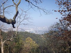 -灵顺寺