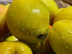 -滇铺子·云南特色菜·鲜花野菜季(东风东路c86店)