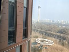 -中国宋庆龄青少年科技文化交流中心