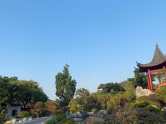 -东莞植物园