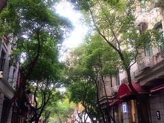 -黎黄陂路街头博物馆