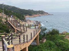 -广东惠东海龟国家级自然保护区