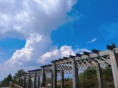 -白草畔自然风景区