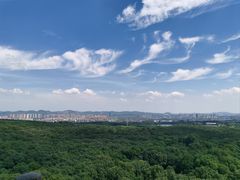 -灵谷景区