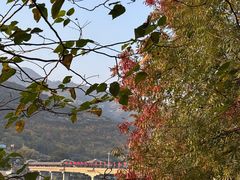 -白帝城·瞿塘峡景区