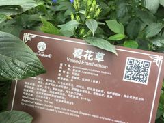 -广西壮族自治区药用植物园
