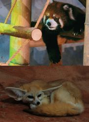 -Zoolung Zoolung动物主题公园(海信广场店)