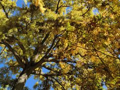 -天津盘山风景名胜区