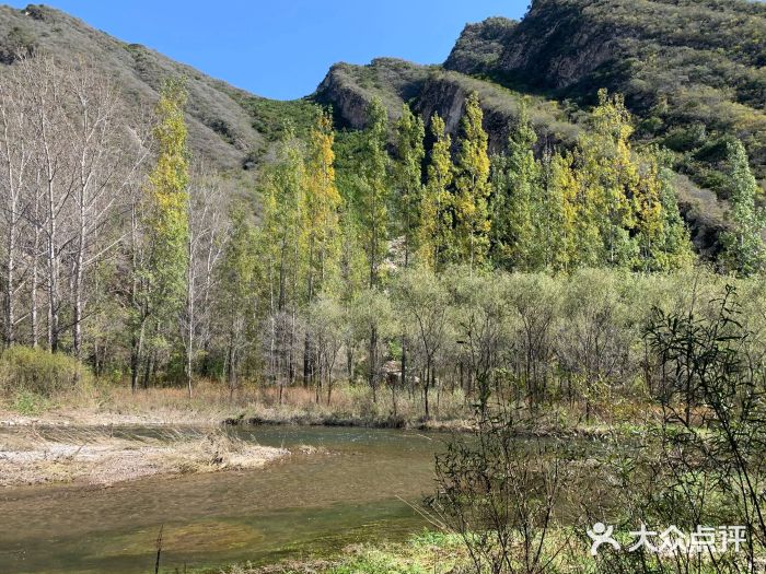 百里山水画廊图片