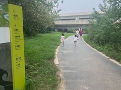 -白鹭湾湿地公园