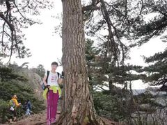 -湖州龙王山景区