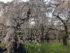 -京都御所