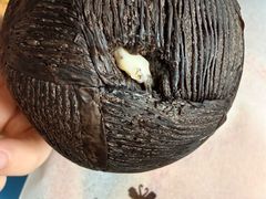 -BLACKSWAN黑天鹅(环球店)