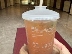 -广州白天鹅宾馆