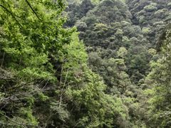 -花岩国家森林公园