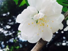 -乌山风景区