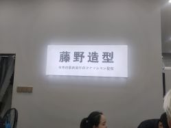 点击看大图 -藤野造型