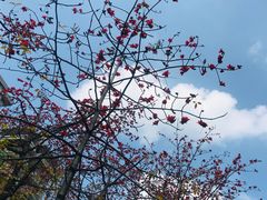 -香港鸳鸯王(西湖路店)