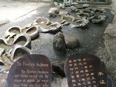 -成都市活水公园