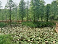 -凤凰沟景区