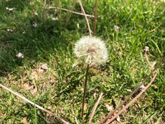 -百荣世贸商城