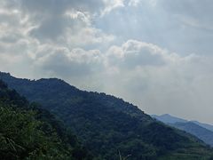 -王顺山国家森林公园