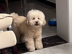 -心仪动物医院·牙专科·肿瘤·心脏科(西客站院)