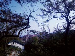 -观象山公园
