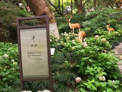 -吴山景区